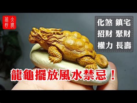 龍龜 材質|龍龜材質指南：玉質最佳，其他材質各有特色